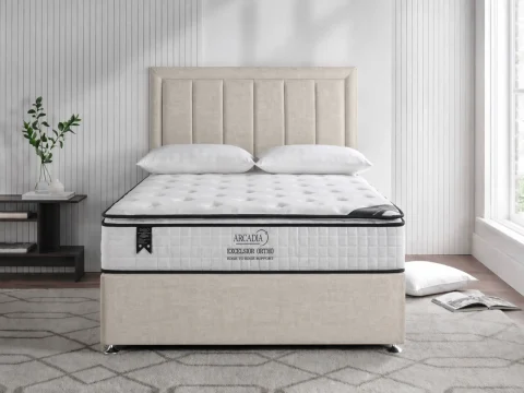 Excelsior Ortho Divan Set